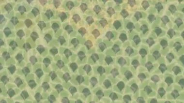 Benzersiz hareket grafikleri tasarım sanatına sahip yaratıcı film üretimi için özet bir arkaplan