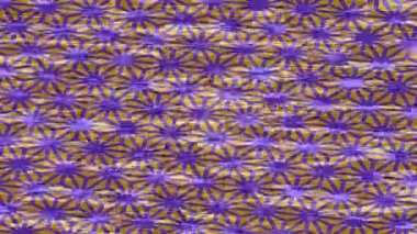 Benzersiz hareket grafikleri tasarım sanatına sahip yaratıcı film üretimi için özet bir arkaplan