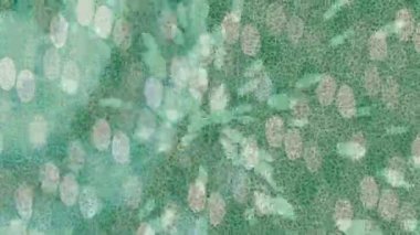 Benzersiz dijital animasyon tarzı grafikleri olan yaratıcı ortam tasarımı için yenilikçi hareket dokusu