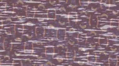 Yaratıcı video düzenleme film arkaplan tasarımı için minimalist organik hareket grafikleri