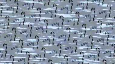 Yaratıcı video düzenleme film arkaplan tasarımı için minimalist organik hareket grafikleri