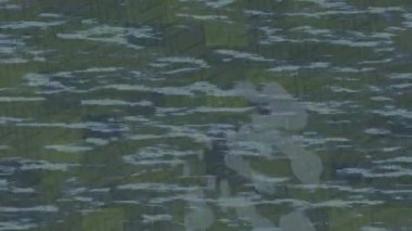 Benzersiz dijital hareket grafiklerine sahip yaratıcı sinematik projeler için yumuşak animasyon yüzeyi