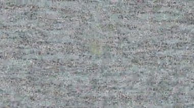 Benzersiz hareket grafikleri tasarım sanatına sahip yaratıcı film üretimi için özet bir arkaplan