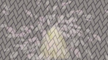 Yaratıcı video düzenleme film arkaplan tasarımı için minimalist organik hareket grafikleri