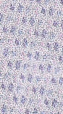 Lüks hareket tasarımı üst düzey video projeleri ve dijital sanat için zarif, pürüzsüz bir dokusu var.