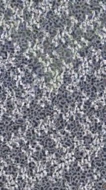 Profesyonel video projeleri sanat tarzı için organik hareketli arkaplan tasarımı