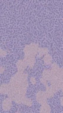 Yaratıcı video düzenleme film arkaplan tasarımı için minimalist organik hareket grafikleri