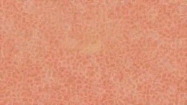 Profesyonel video projeleri sanat tarzı için organik hareketli arkaplan tasarımı