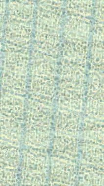 Dijital doku yüzey tasarım biçimi ile modern video animasyonu için gelişmiş hareket grafikleri