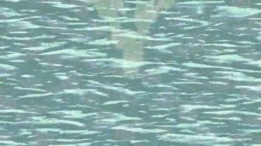 Yaratıcı video düzenleme film arkaplan tasarımı için minimalist organik hareket grafikleri