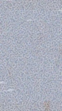 Lüks hareket tasarımı üst düzey video projeleri ve dijital sanat için zarif, pürüzsüz bir dokusu var.