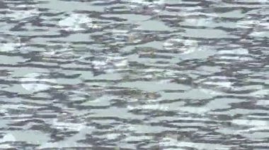 Benzersiz dijital hareket grafiklerine sahip yaratıcı sinematik projeler için yumuşak animasyon yüzeyi