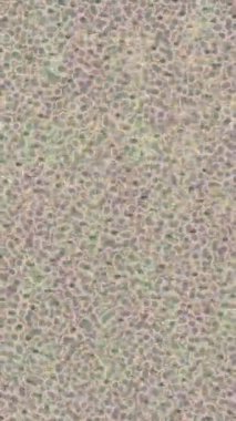 Yaratıcı video düzenleme film tasarımı için benzersiz hareket grafikleri biçimi giriş hareketi video pro