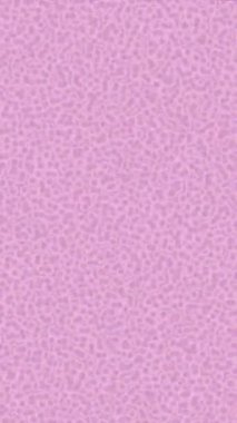 Benzersiz dijital hareket grafiklerine sahip yaratıcı sinematik projeler için yumuşak animasyon yüzeyi