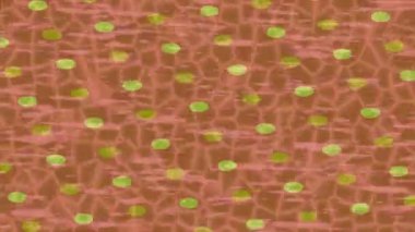 Lüks hareket tasarımı üst düzey video projeleri ve dijital sanat için zarif, pürüzsüz bir dokusu var.