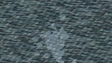 Profesyonel video projeleri sanat tarzı için organik hareketli arkaplan tasarımı