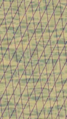 Benzersiz dijital hareket grafiklerine sahip yaratıcı sinematik projeler için yumuşak animasyon yüzeyi