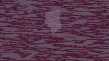 Yaratıcı video düzenleme film arkaplan tasarımı için minimalist organik hareket grafikleri