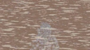 Benzersiz dijital hareket grafiklerine sahip yaratıcı sinematik projeler için yumuşak animasyon yüzeyi