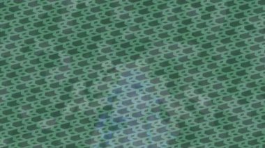 Benzersiz dijital hareket grafiklerine sahip yaratıcı sinematik projeler için yumuşak animasyon yüzeyi