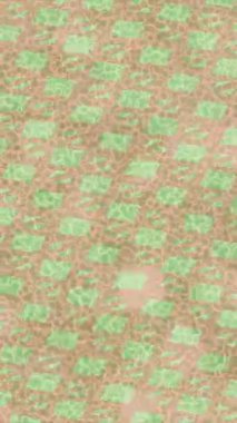 Lüks hareket tasarımı üst düzey video projeleri ve dijital sanat için zarif, pürüzsüz bir dokusu var.