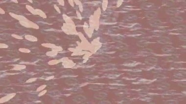 Yaratıcı video düzenleme film arkaplan tasarımı için minimalist organik hareket grafikleri