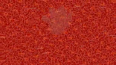 Dijital doku yüzey tasarım biçimi ile modern video animasyonu için gelişmiş hareket grafikleri