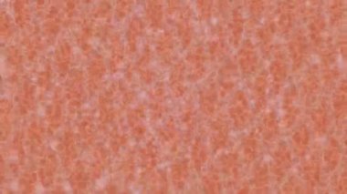 Benzersiz dijital hareket grafiklerine sahip yaratıcı sinematik projeler için yumuşak animasyon yüzeyi