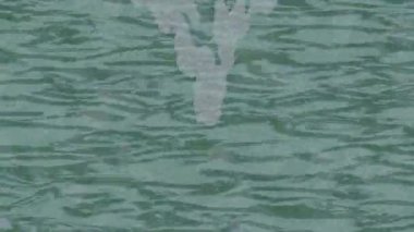 Benzersiz hareket dokusu tasarım sanatı ile profesyonel video düzenleme için modern soyut grafikler