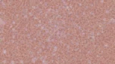 Modern medya üretimi için fütüristik dijital soyut doku sinematik tarz hareketli grafik ögesi