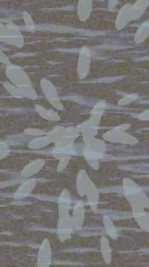 Benzersiz dijital hareket grafiklerine sahip yaratıcı sinematik projeler için yumuşak animasyon yüzeyi