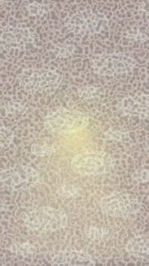 Dijital doku yüzey tasarım biçimi ile modern video animasyonu için gelişmiş hareket grafikleri