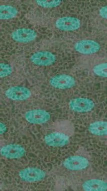 Benzersiz hareket grafikleri tasarım sanatına sahip yaratıcı film üretimi için özet bir arkaplan