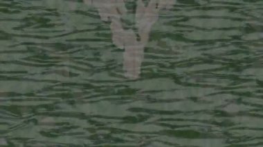 Lüks hareket tasarımı üst düzey video projeleri ve dijital sanat için zarif, pürüzsüz bir dokusu var.