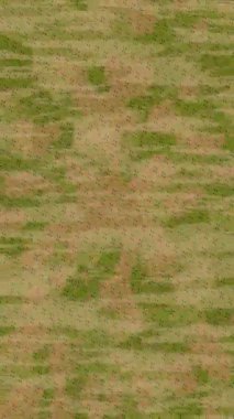 Profesyonel video projeleri sanat tarzı için organik hareketli arkaplan tasarımı