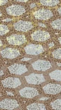 Yaratıcı video düzenleme film arkaplan tasarımı için minimalist organik hareket grafikleri