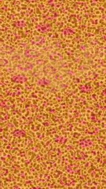 Benzersiz dijital hareket grafiklerine sahip yaratıcı sinematik projeler için yumuşak animasyon yüzeyi