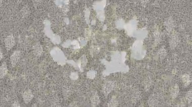 Modern medya üretimi için fütüristik dijital soyut doku sinematik tarz hareketli grafik ögesi