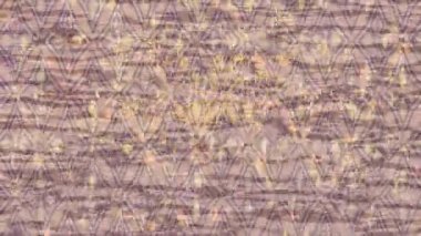 Lüks hareket projeleri için soyut tasarım stili animasyonu olan üst düzey dijital doku