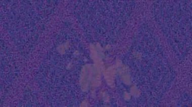 Benzersiz hareket grafikleri tasarım sanatına sahip yaratıcı film üretimi için özet bir arkaplan