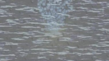 Soyut hareket desenli fütüristik video üretimi için dinamik dijital arkaplan