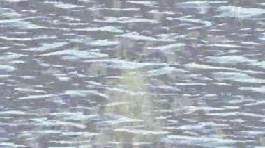 Benzersiz video giriş tasarımı projeleri için detaylı yüzey kalıbı film animasyon stili grafik girişi