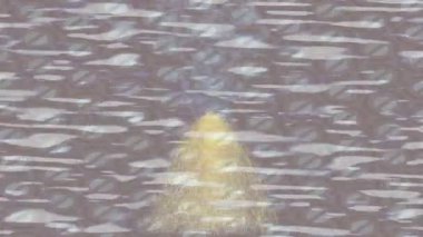 Yaratıcı video düzenleme film tasarımı için benzersiz hareket grafikleri biçimi giriş hareketi video pro