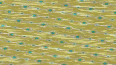 Soyut hareket desenli fütüristik video üretimi için dinamik dijital arkaplan