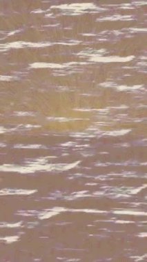 Profesyonel video projeleri sanat tarzı için organik hareketli arkaplan tasarımı