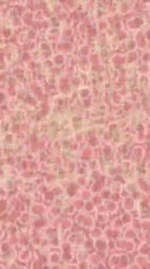 Benzersiz hareket grafikleri tasarım sanatına sahip yaratıcı film üretimi için özet bir arkaplan