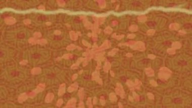 Benzersiz dijital hareket grafiklerine sahip yaratıcı sinematik projeler için yumuşak animasyon yüzeyi