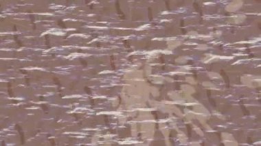 Benzersiz dijital hareket grafiklerine sahip yaratıcı sinematik projeler için yumuşak animasyon yüzeyi