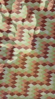 Lüks hareket tasarımı üst düzey video projeleri ve dijital sanat için zarif, pürüzsüz bir dokusu var.