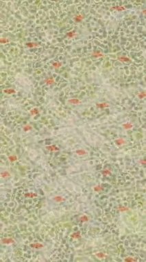 Benzersiz video giriş tasarımı projeleri için detaylı yüzey kalıbı film animasyon stili grafik girişi